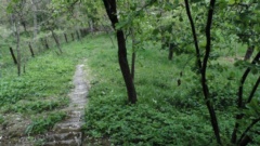 Samostojeća Kuća, Vrtlinovec, Banjščina 234